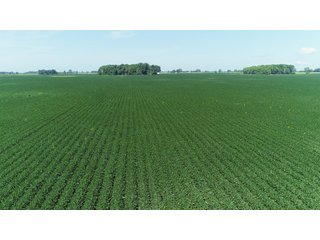 Farmland in Fulton & Marshall Counties, Indiana - LAND AUCTION - 541.3+/- ACRES IN 9 TRACTS IN FULTON & MARSHALL COUNTIES, INDIANA